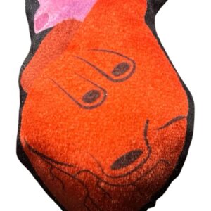 Anatomical-Heart-Cat-Toy